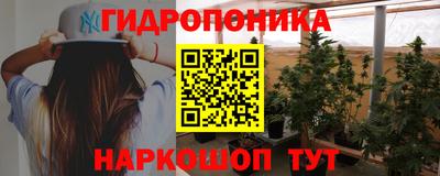 индика Железногорск