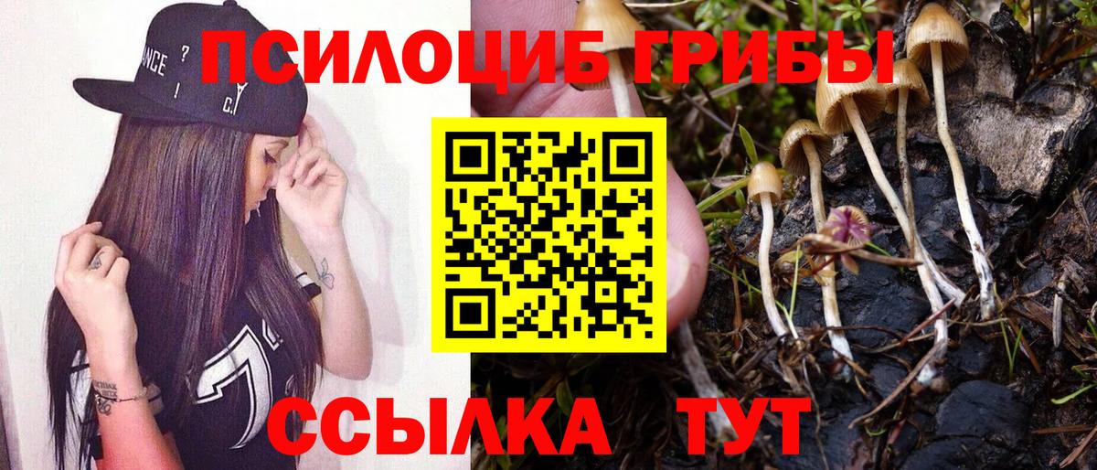 Псилоцибиновые грибы мухоморы Лянтор