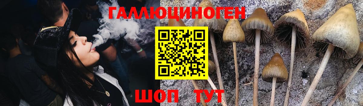 Псилоцибиновые грибы Magic Shrooms  Галлюциногенные грибы Psilocybine cubensis  Лянтор  Вход с VPN 